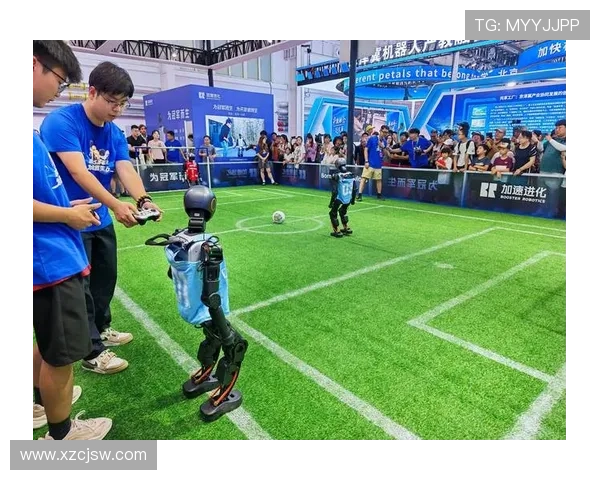 足球明星加热器价格分析及市场趋势揭秘